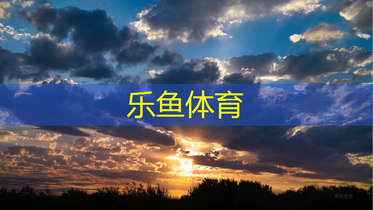 <strong>乐鱼体育,站姿哑铃交替推举</strong>