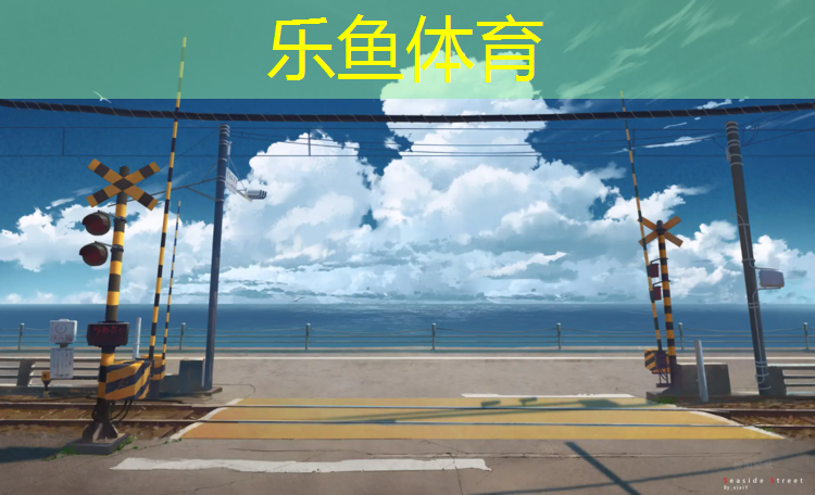 <strong>乐鱼体育,花型塑胶跑道</strong>