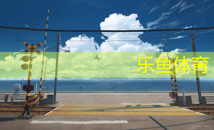 乐鱼体育官方网站,青海预制型塑胶跑道价格