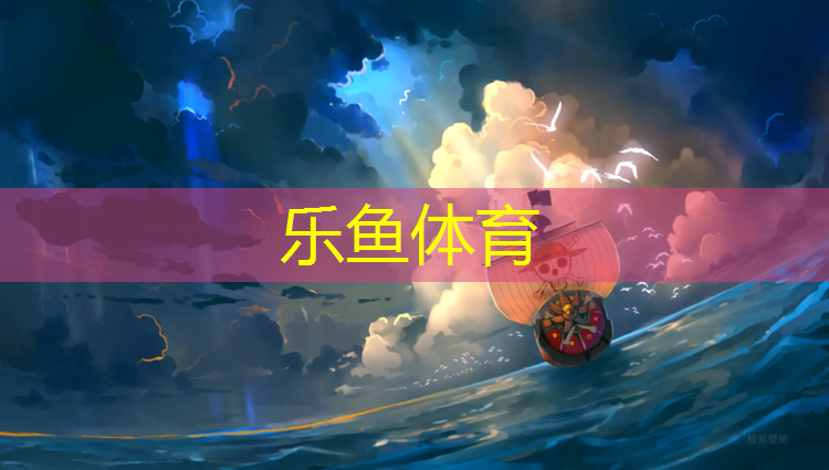 乐鱼体育官方网站,宁南塑胶跑道怎么施工