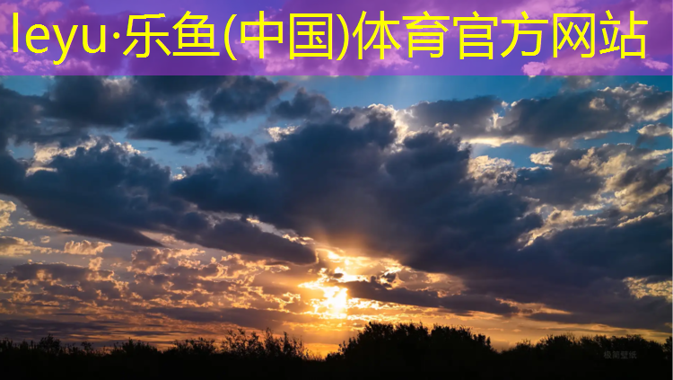 乐鱼体育,吉安室外塑胶跑道施工